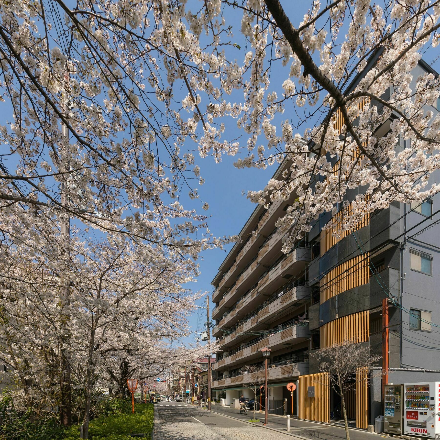 Aparthotel Riverview House Kyoraku Kyōto